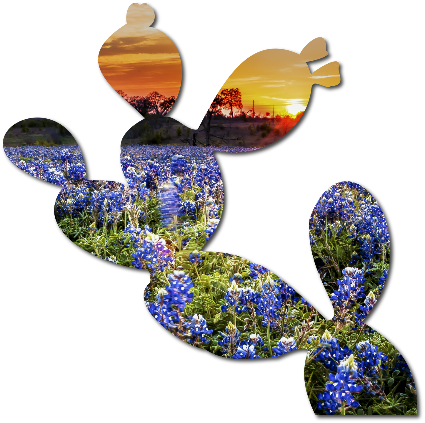 Opal the Prickly Pear | StoryGarden Cutout