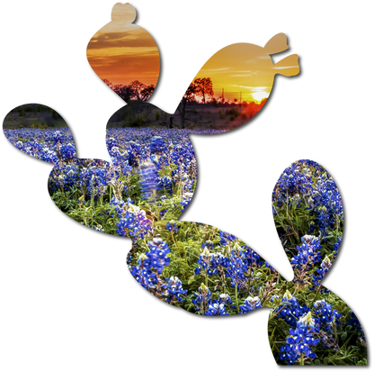 Opal the Prickly Pear | StoryGarden Cutout