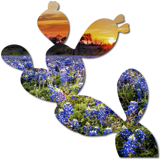 Opal the Prickly Pear | StoryGarden Cutout