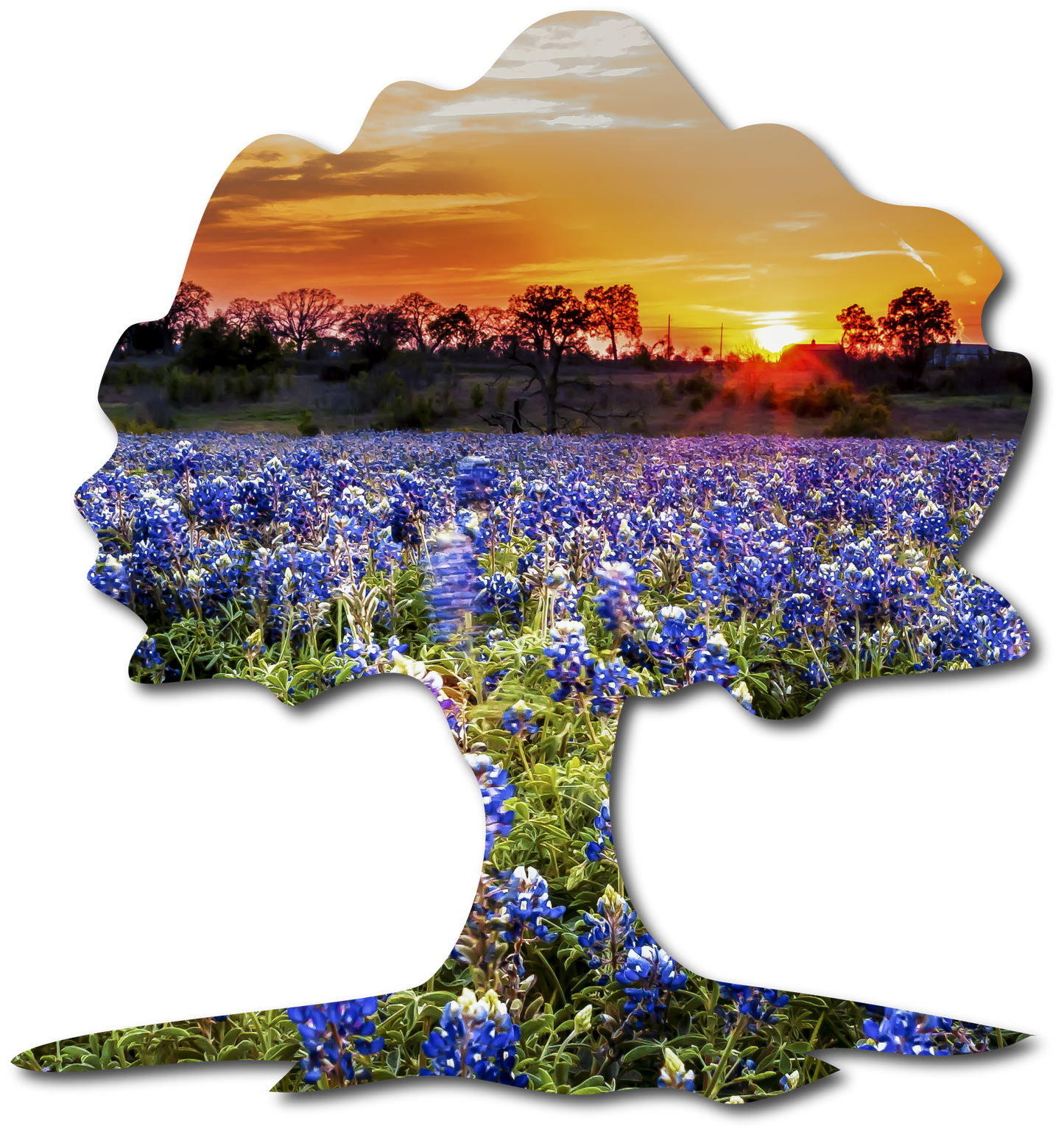 The Oak | StoryGarden Cutout