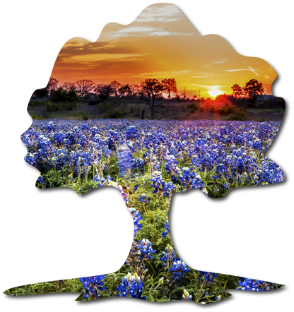 The Oak | StoryGarden Cutout