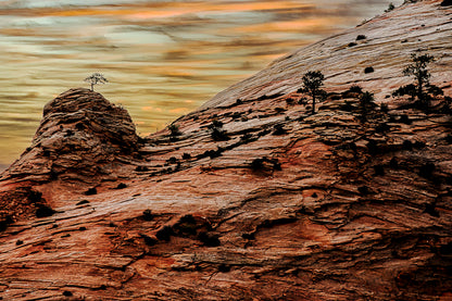 Contours of Zion, Earth's Artistry: Zion National Park | National Park Puzzle | 250, 500, 1000 Pieces