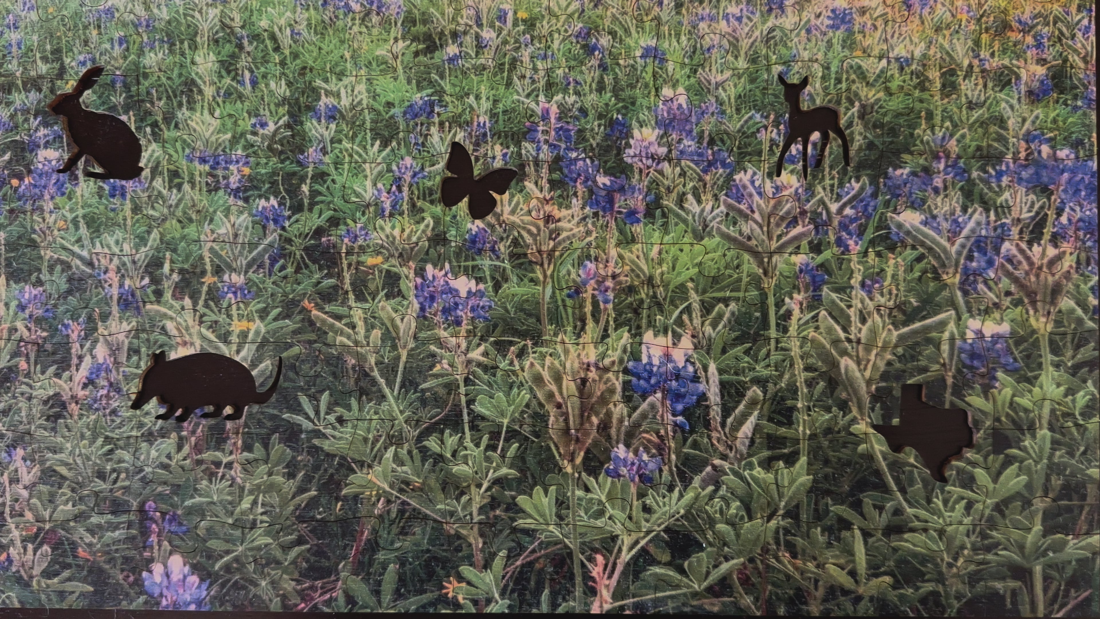 Johnson City Bluebonnet Sunset | Texas Jigsaw Puzzle – Wimberley