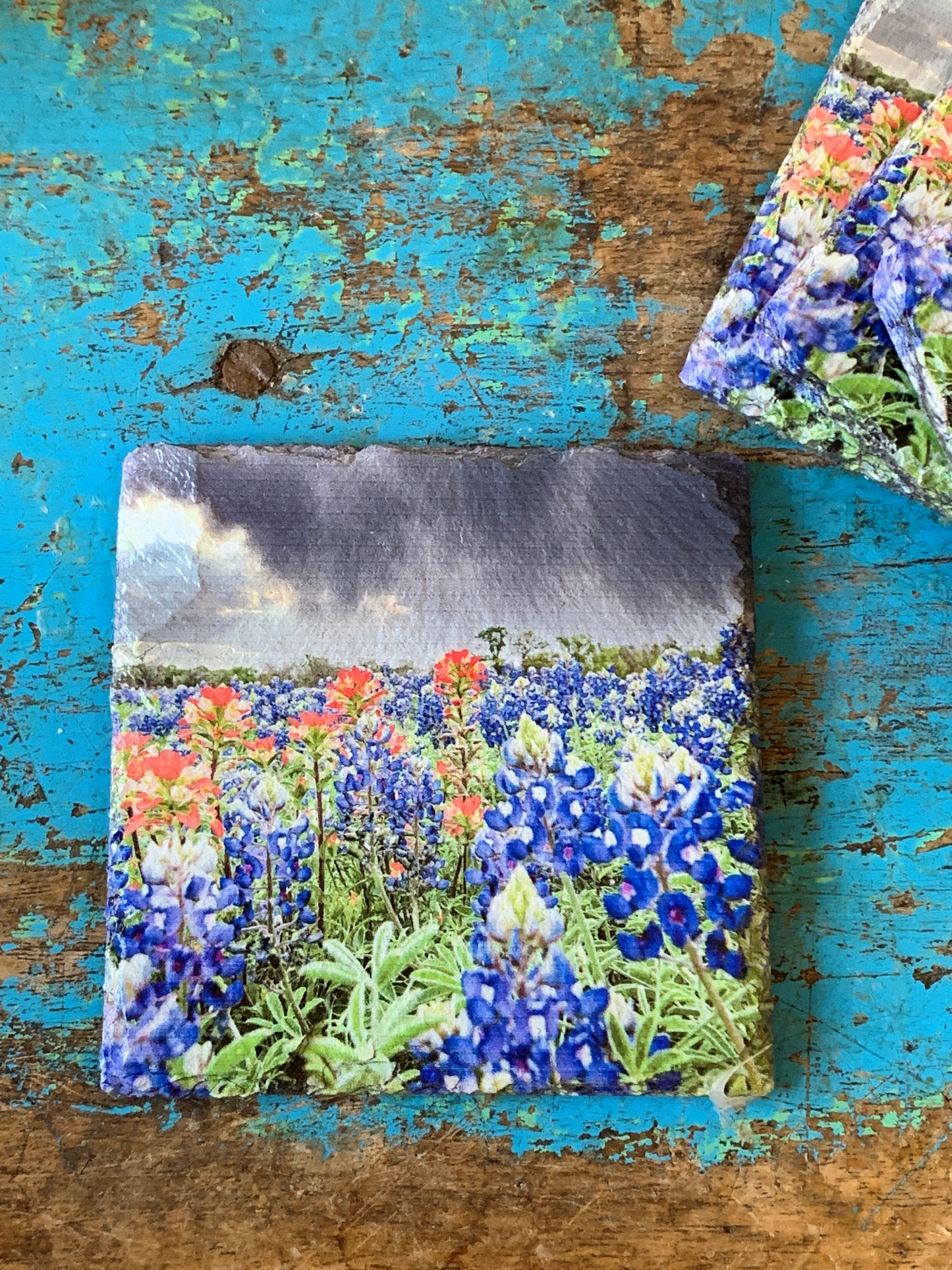 Bluebonnets, April Showers, Black Slate Coaster Set of 4