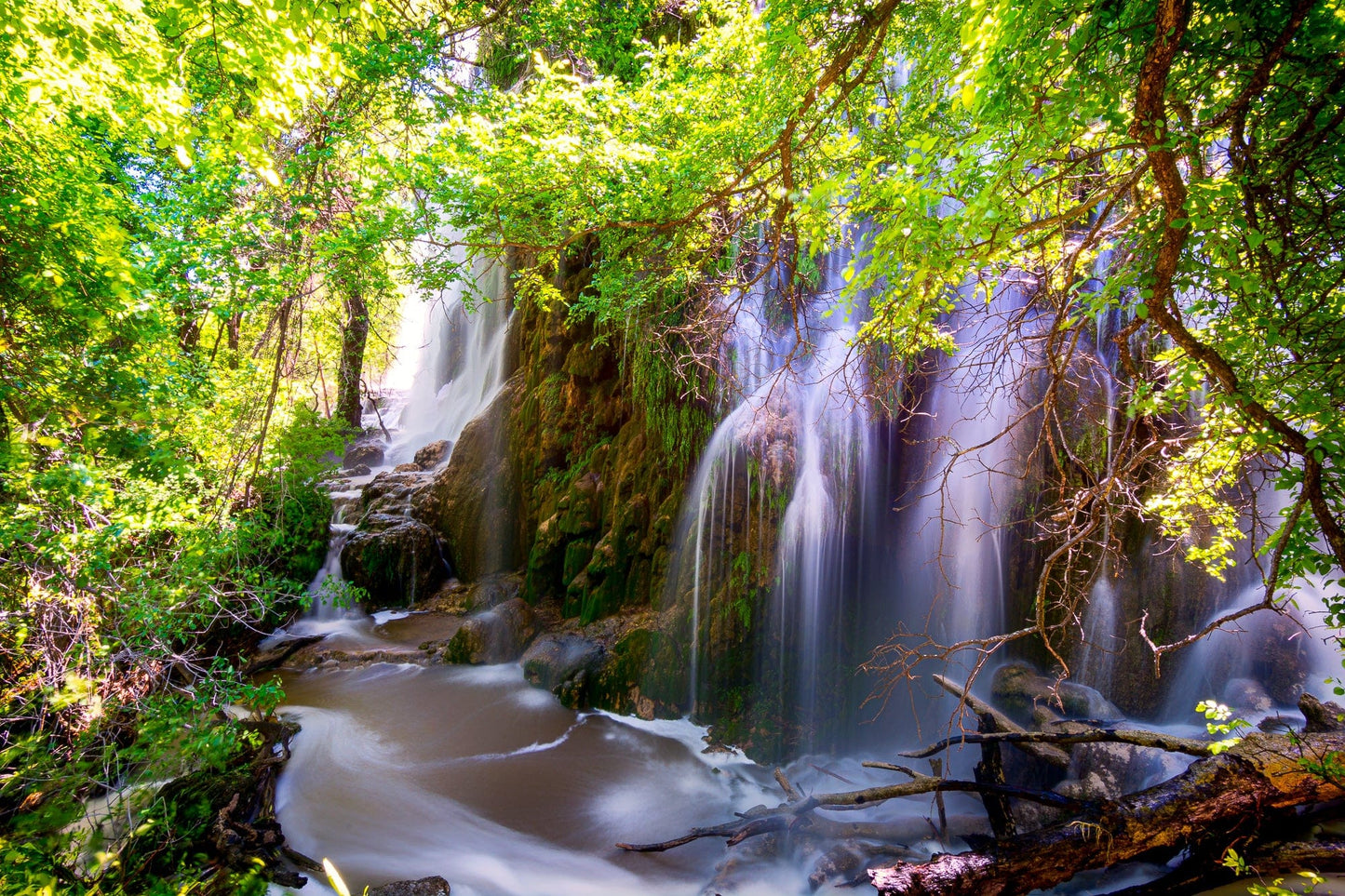 Gorman Falls Texas | Waterfall Puzzle | 250, 500, 1000 Pieces