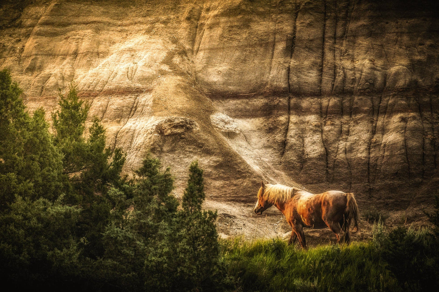 Roosevelt Wild Horse | National Parks Puzzle | 250, 500, 1000 Pieces