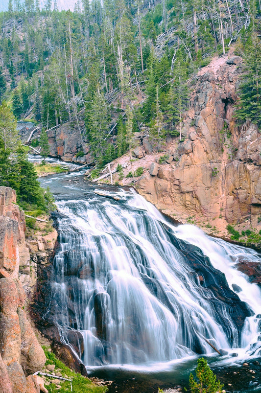 Cascade Majesty: Gibbon Falls | Yellowstone National Park Puzzle | 250, 500, 1000 Pieces
