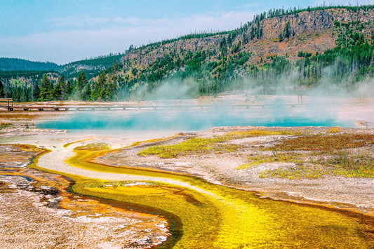 Yellowstone Lower Geyser Basin | Yellowstone National Park Puzzle | 250, 500, 1000 Pieces