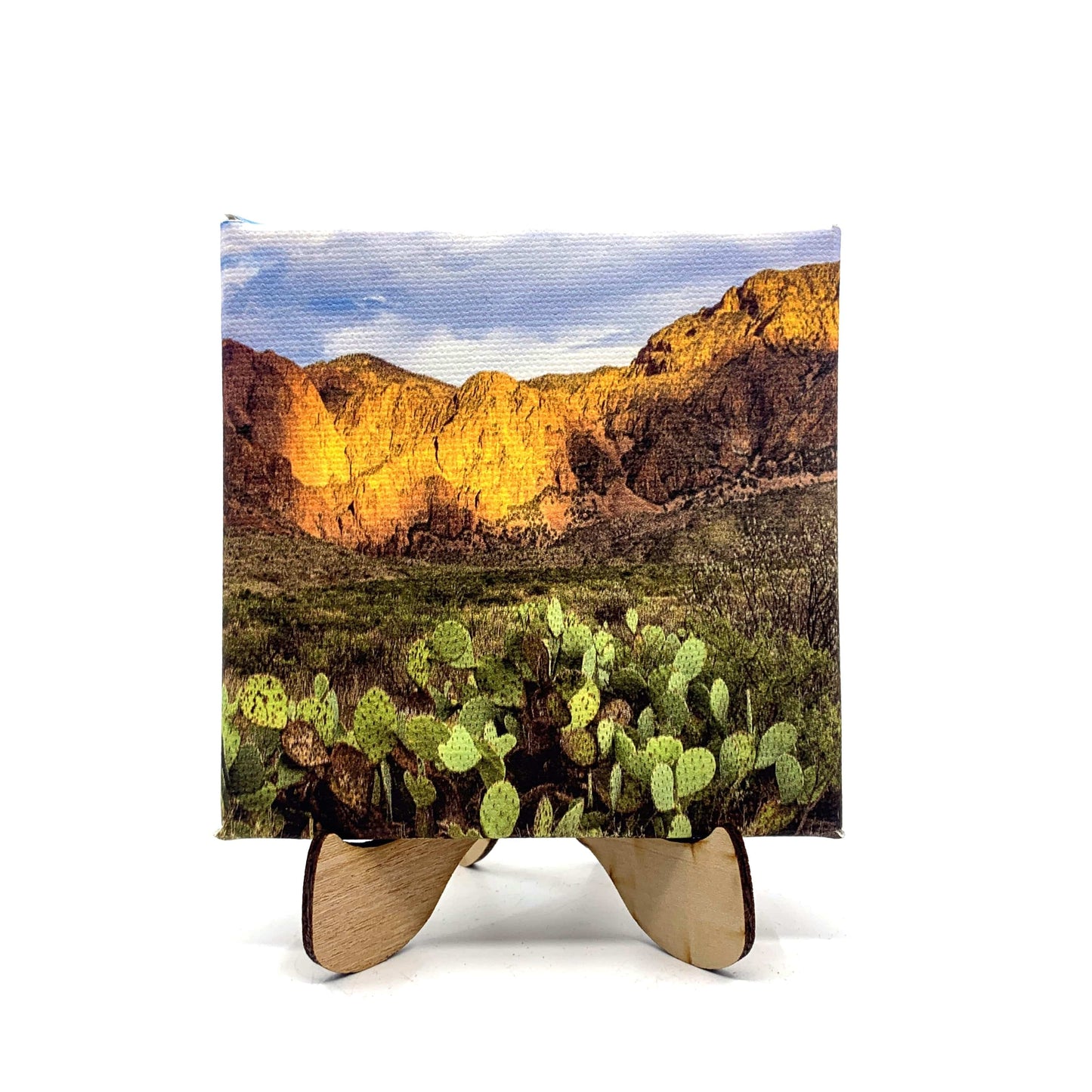 Wimberley Puzzle Company Canvas Print Quintessential Big Bend | 4x4" Mini Canvas Art Print