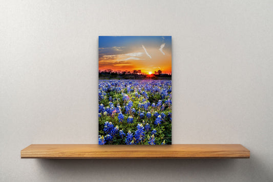 Wimberley Puzzle Company Posters, Prints, & Visual Artwork 10x15" A Bluebonnet Sunset, Texas, Bluebonnets and Wildflowers Wood Art and Postcards