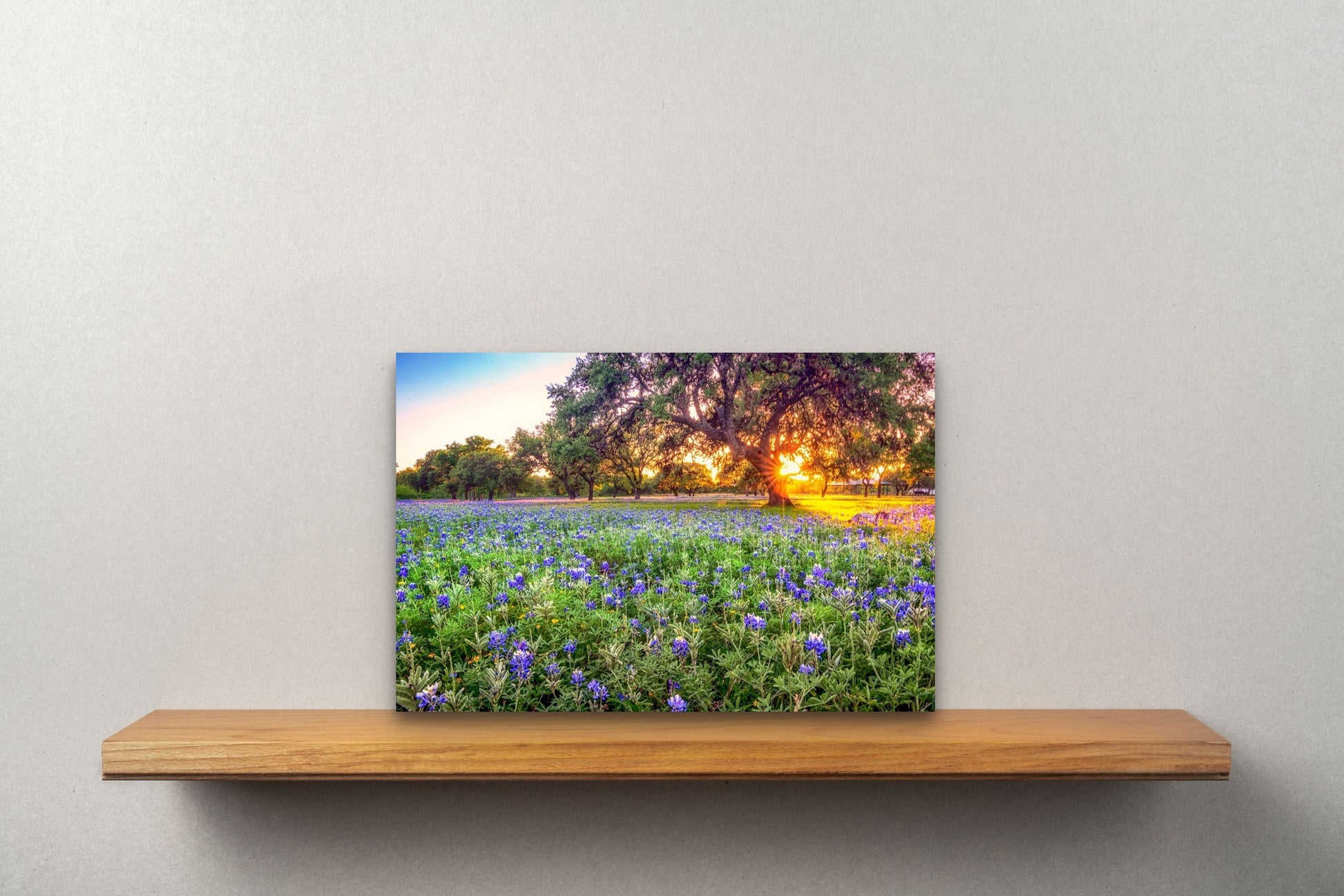 Wimberley Puzzle Company Posters, Prints, & Visual Artwork 10x15" Johnson City Bluebonnet Sunset, Texas Wooden Art and Postcards