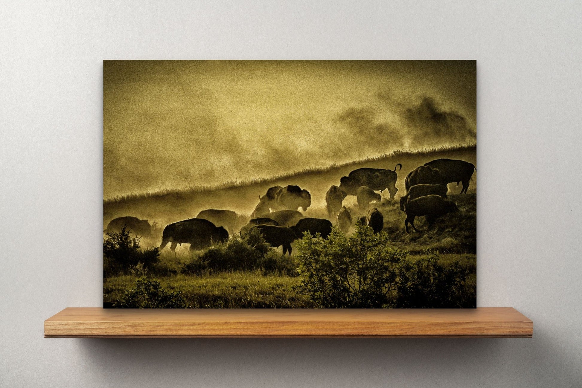 Wimberley Puzzle Company Posters, Prints, & Visual Artwork 16x24" Buffalos, Roosevelt National Park, North Dakota Wooden Art and Postcards
