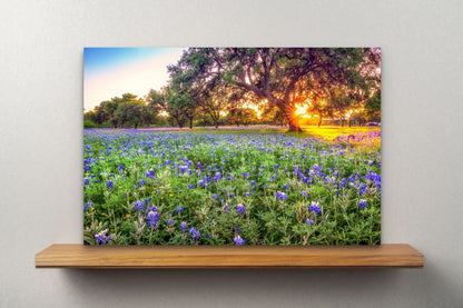 Wimberley Puzzle Company Posters, Prints, & Visual Artwork 16x24" Johnson City Bluebonnet Sunset, Texas Wooden Art and Postcards