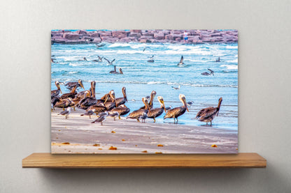 Wimberley Puzzle Company Posters, Prints, & Visual Artwork 16x24" The Pelicans, Mustang Island State Park, Texas Wooden Art and Postcards