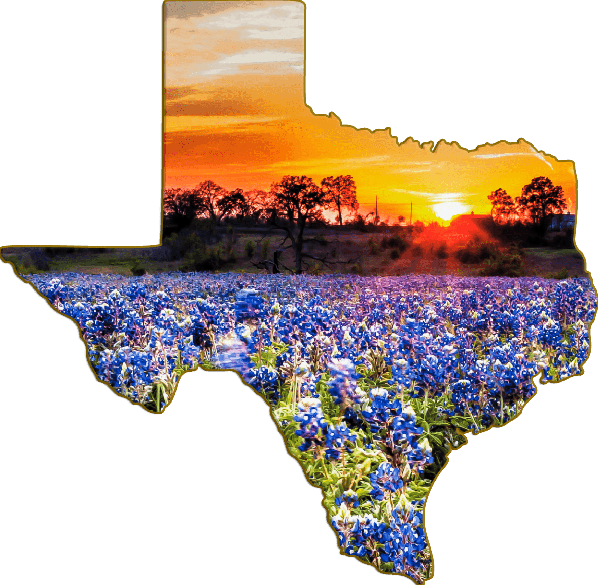 Wimberley Puzzle Company Refrigerator Magnets Bluebonnet Sunset | Texas-Shaped Magnet