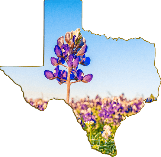 Wimberley Puzzle Company Refrigerator Magnets Bluebonnet | Texas-Shaped Magnet