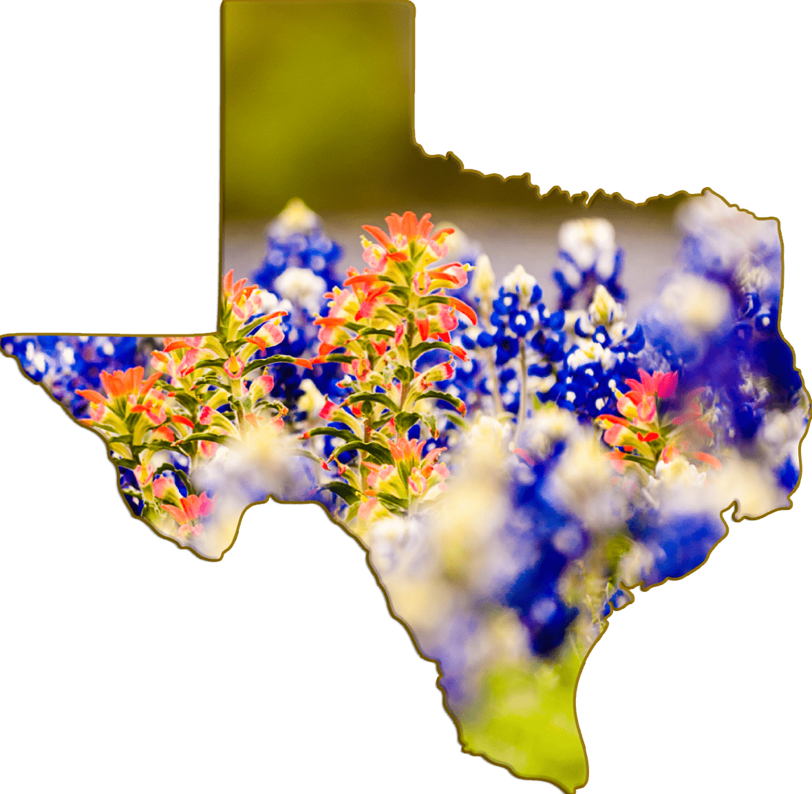 Wimberley Puzzle Company Refrigerator Magnets Bluebonnets and Indian Paintbrush | Texas Shaped Magnet