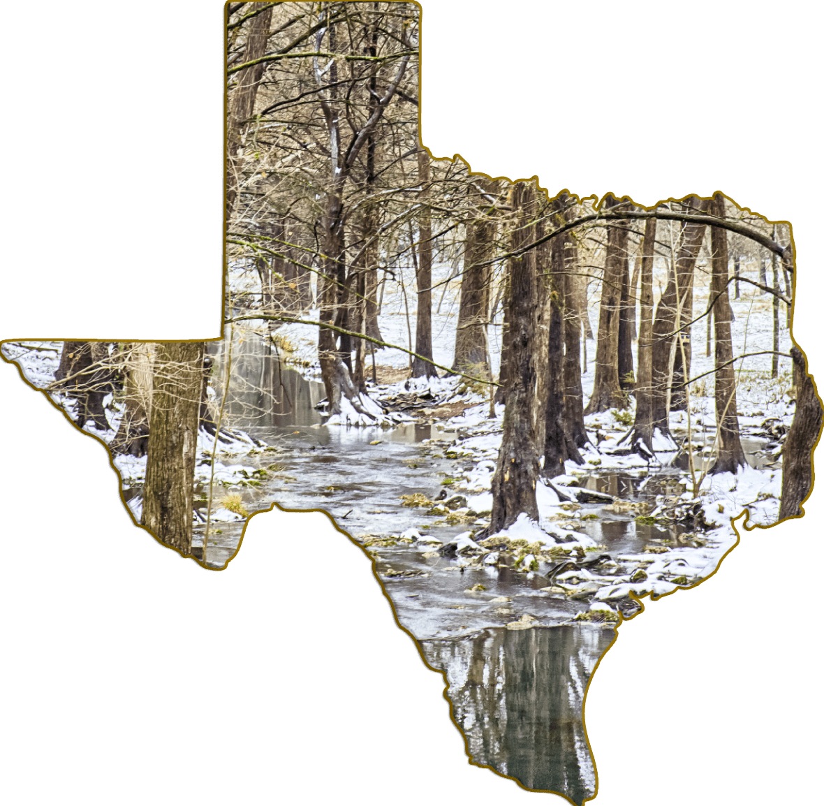 Wimberley Puzzle Company Refrigerator Magnets Cypress Creek | Texas-Shaped Magnet