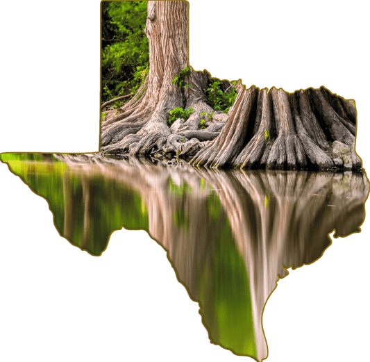 Wimberley Puzzle Company Refrigerator Magnets Cypress Tree Roots, Blanco River | Texas-Shaped Magnet
