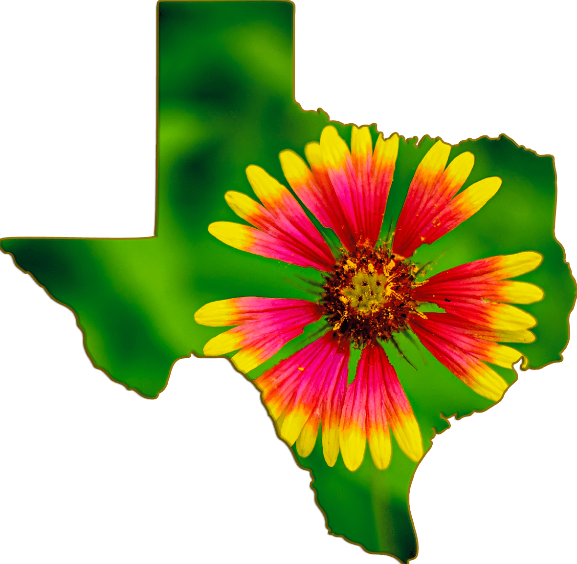 Wimberley Puzzle Company Refrigerator Magnets Firewheel, Texas Wildflower | Texas-Shaped Magnet