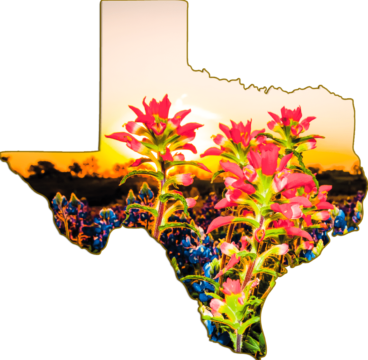 Wimberley Puzzle Company Refrigerator Magnets Indian Paintbrush | Texas-Shaped Magnet