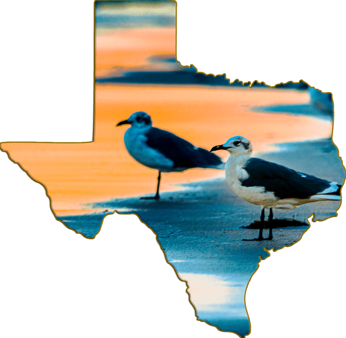 Wimberley Puzzle Company Refrigerator Magnets Seagulls Senset | Texas-Shaped Magnet