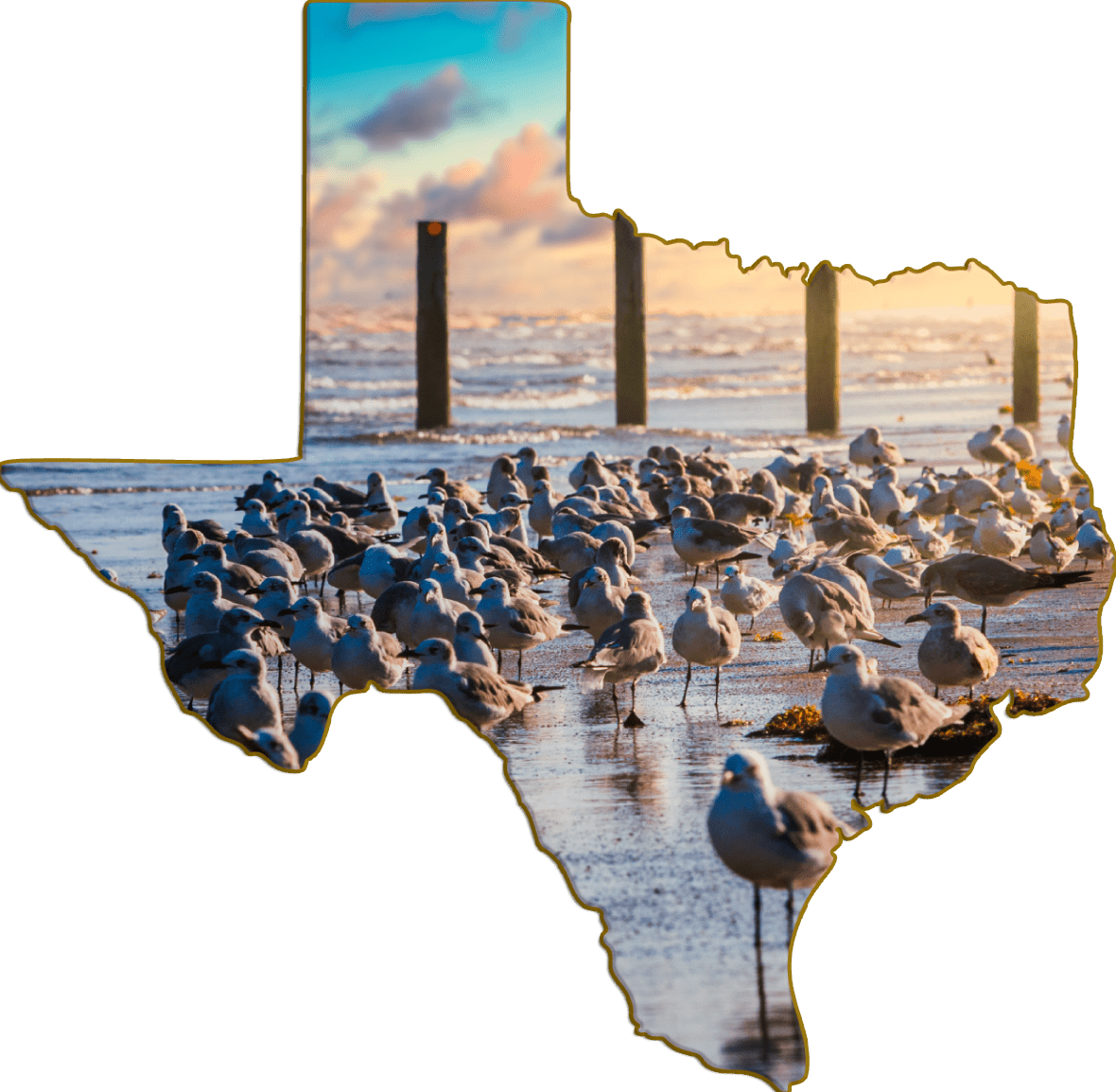Wimberley Puzzle Company Refrigerator Magnets Seagulls | Texas-Shaped Magnet