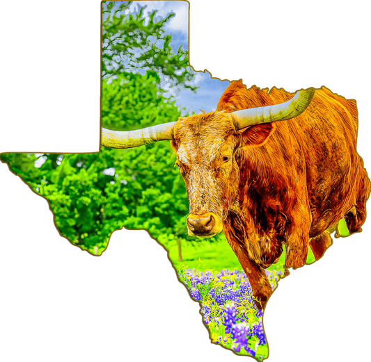 Wimberley Puzzle Company Refrigerator Magnets Texas Longhorn and Bluebonnets | Texas-Shaped Magnet