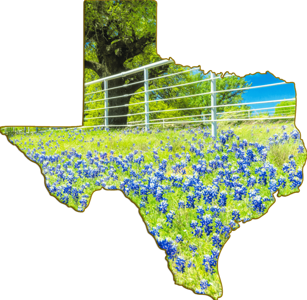 Wimberley Puzzle Company Refrigerator Magnets Texas Roadside Bluebonnet Field | Texas-Shaped Magnet