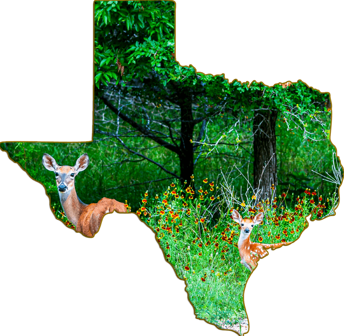Wimberley Puzzle Company Refrigerator Magnets Whitetail and Wildflowers | Texas-Shaped Magnet